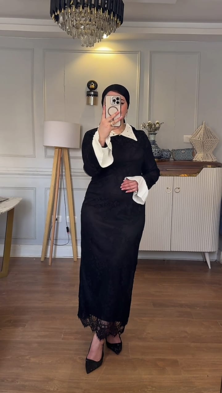 Elegant Collar Lace Dress